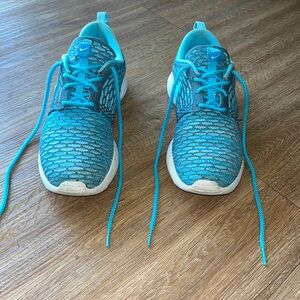 Nike Rosche Run FlyKnit Shoe